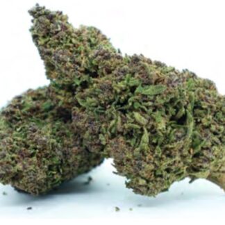 ALADIN PURPLE