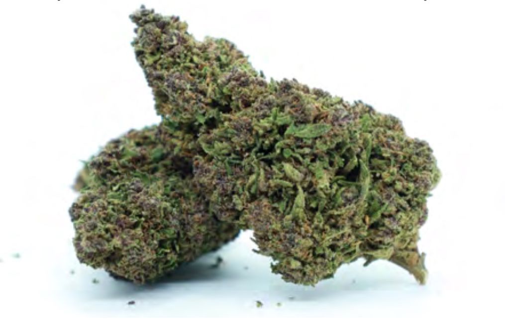 ALADIN PURPLE