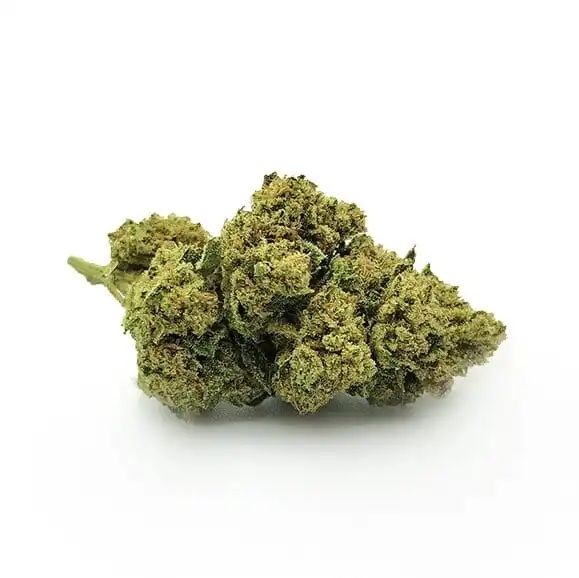 BUBBLE GUM