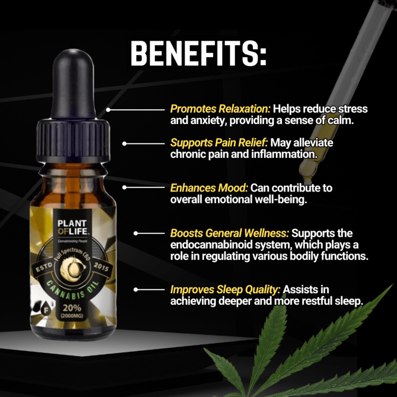Aceite CBD 20% Full Spectrum - Imagen 4