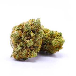 AMNESIA HAZE by EVOCANNA