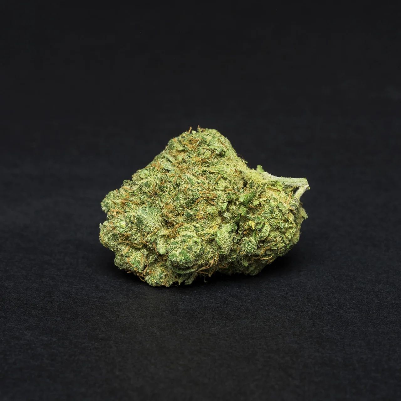WHITE WIDOW by EVOCANNA - Imagen 5