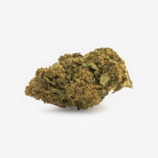 GORILLA FRUIT