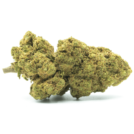 WHITE WIDOW by EVOCANNA - Imagen 3