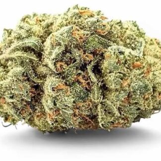 WHITE WIDOW by EVOCANNA