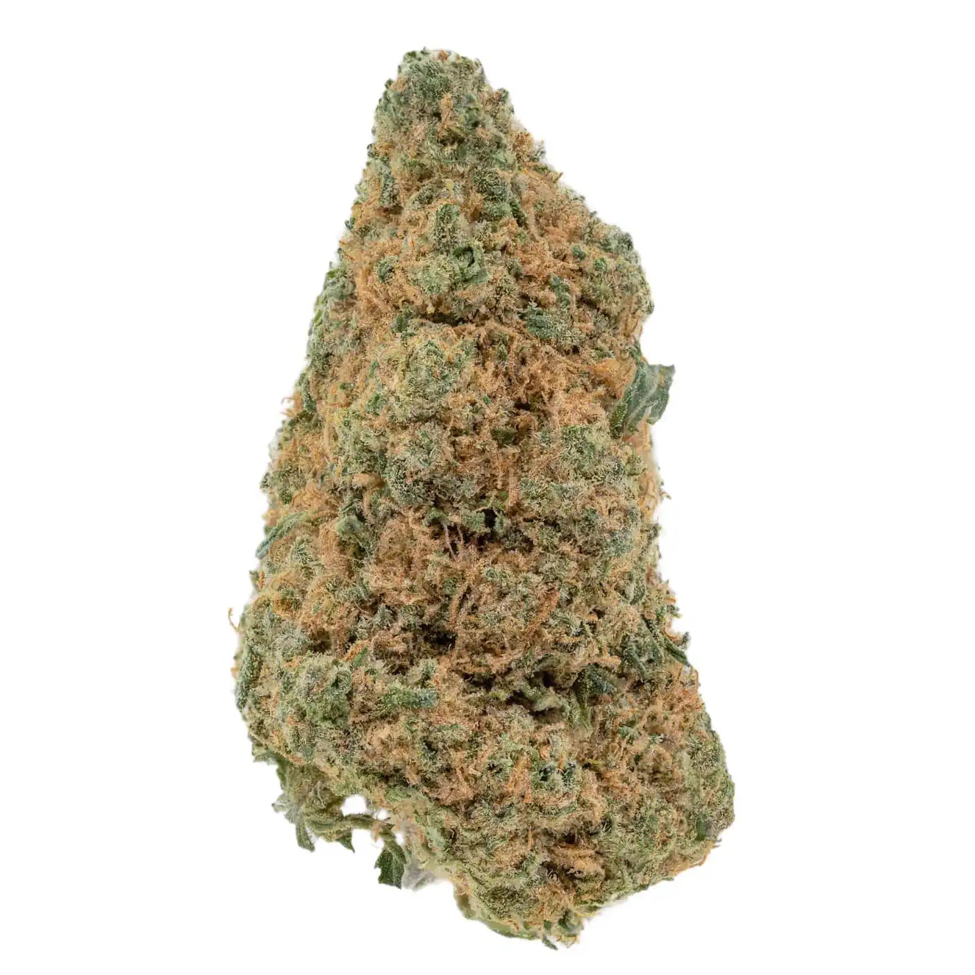GELATO COOKIES - Imagen 2