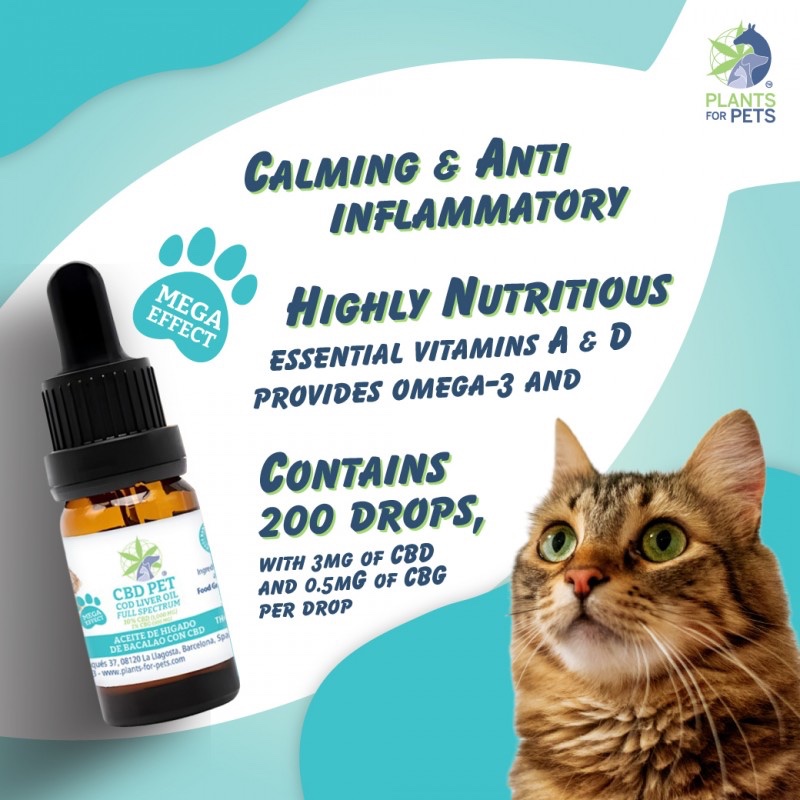 Aceite Mascotas CBD 10% CBG 1% - Imagen 2