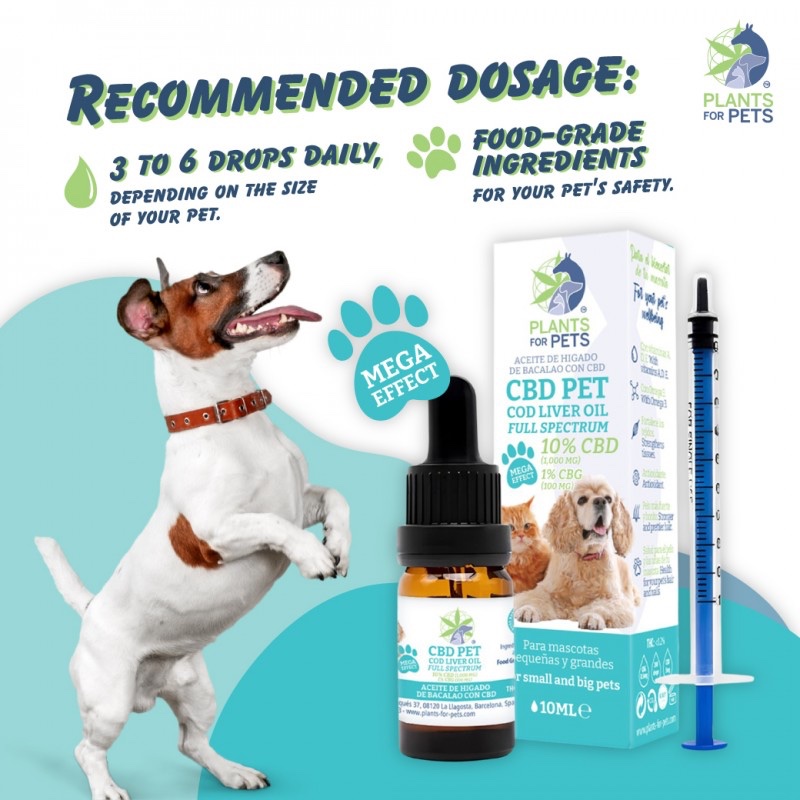 Aceite Mascotas CBD 10% CBG 1% - Imagen 4
