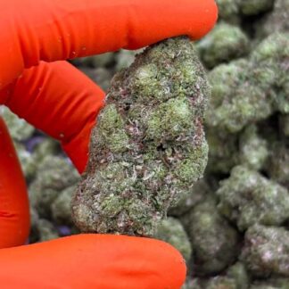 GORILLA CRYO