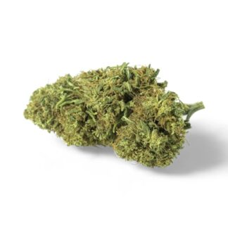 GORILLA GLUE
