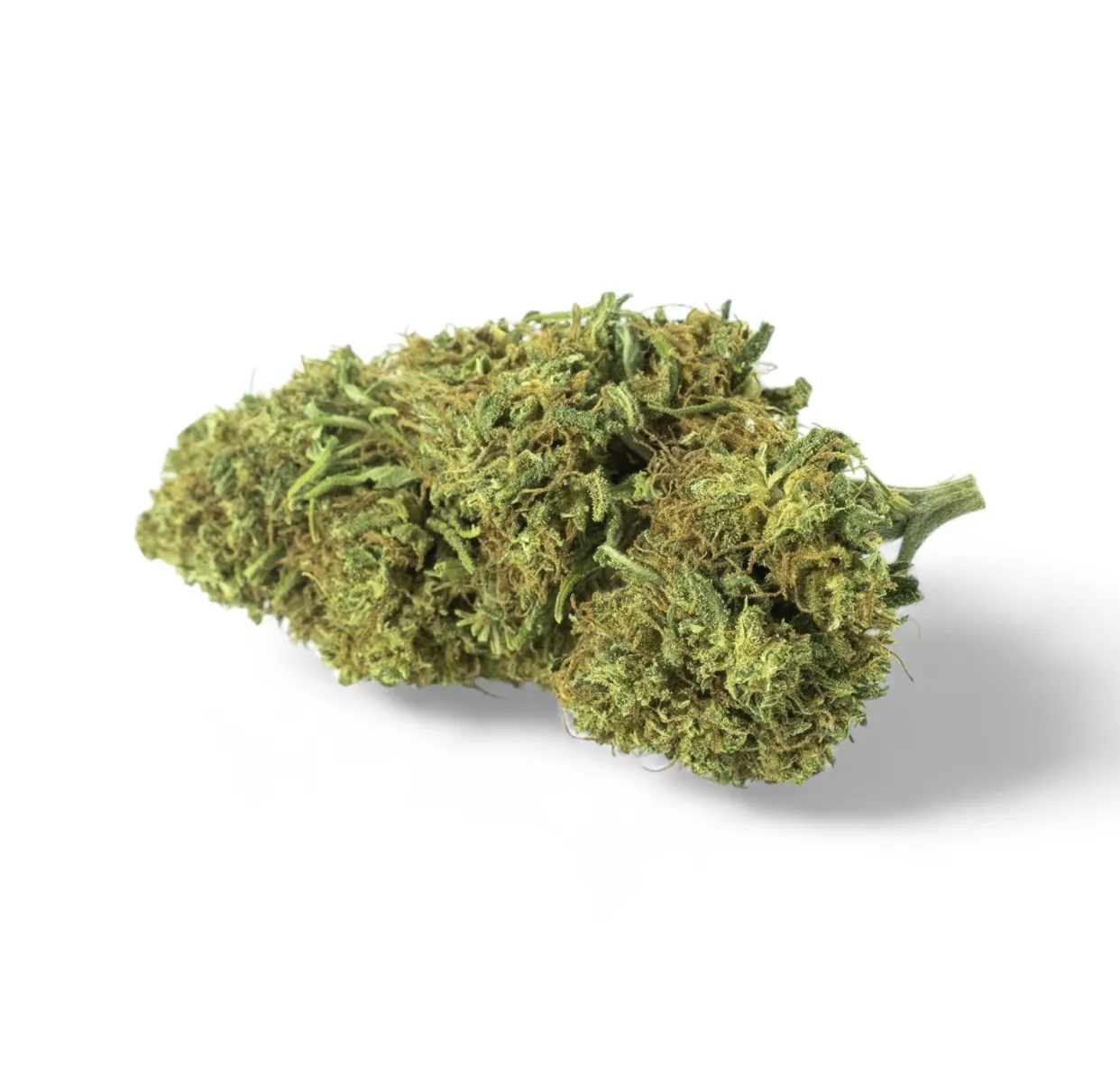 GORILLA GLUE