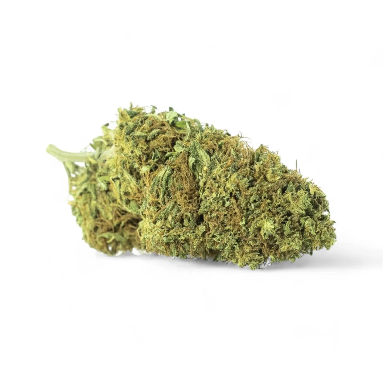 GORILLA GLUE - Imagen 2