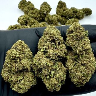 HAWAIIAN HAZE