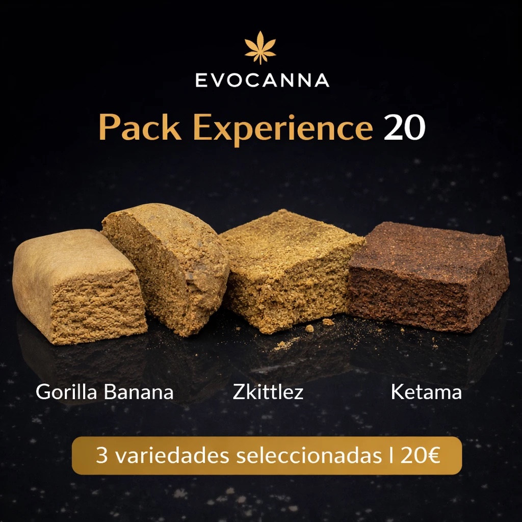 PACK EXPERIENCE 20