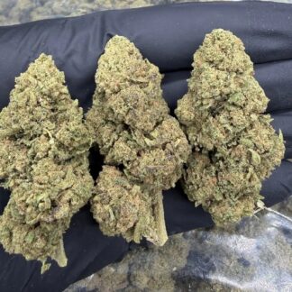 BANANA GOLD